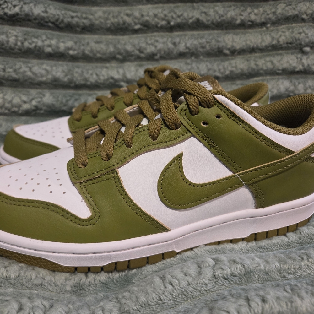 New Nike Dunks Size 6Y